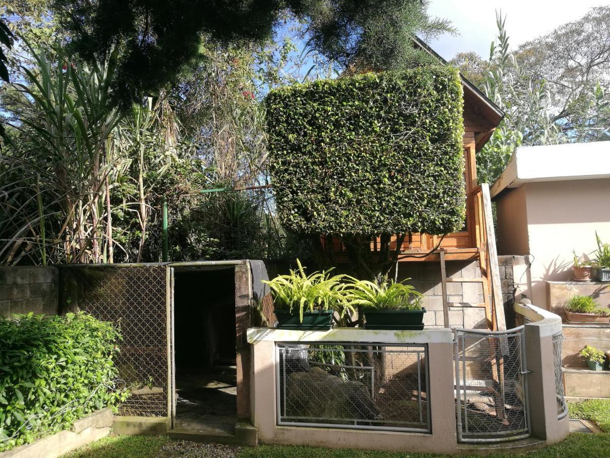 Apartmán Casa Familiar La Arboleda Ciudad de Guatemala Exteriér fotografie